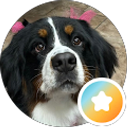 Profile photo of Terri miller
