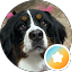 Profile photo of Terri miller