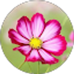 Profile photo of Ingrid Ceniceros