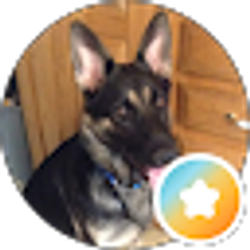Profile photo of J&J S