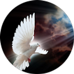 Profile photo of Someone Special