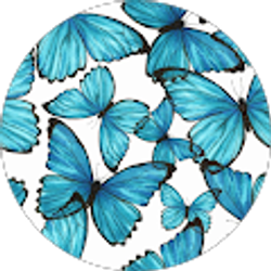 Profile photo of Ariana Rosales