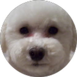 Profile photo of Donna Wendell