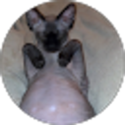 Profile photo of Lisa Mills