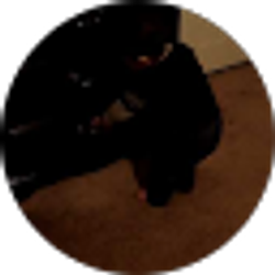 Profile photo of Omar Khatib