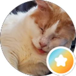 Profile photo of Anne G