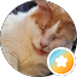 Profile photo of Anne G
