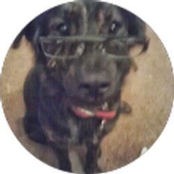 Profile photo of scrapsterule24