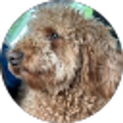 Profile photo of edward antonelli