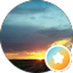 Profile photo of DC AutoGlass
