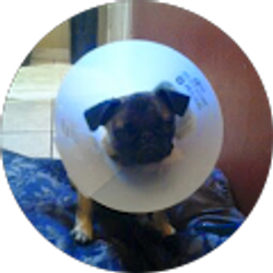 Profile photo of tony f