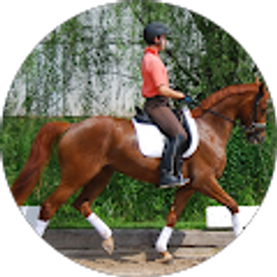 Profile photo of Ryan Hopkins