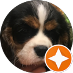Profile photo of Natasha