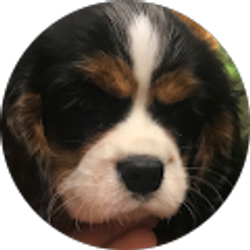 Profile photo of Natasha