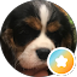 Profile photo of Natasha