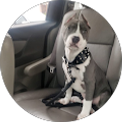 Profile photo of A’saad Saadiq