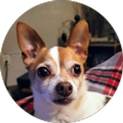 Profile photo of Leisa Byler