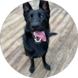 Profile photo of Haley Arnold