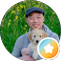 Profile photo of Bo Ching