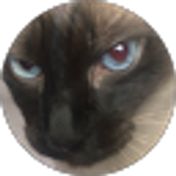 Profile photo of Ella McGinley