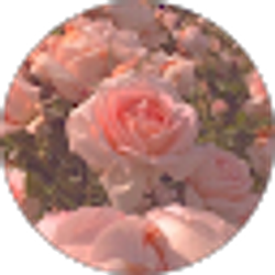 Profile photo of Jacqueline Ortiz