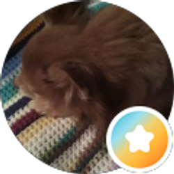 Profile photo of Sandra L Moore