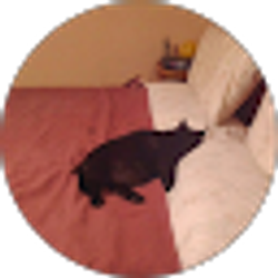 Profile photo of Ginny Wuersig