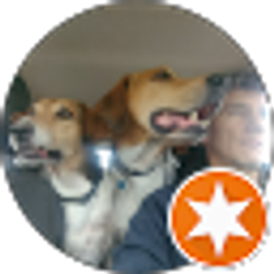 Profile photo of Philipp Grigoryev