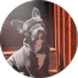 Profile photo of King Beans