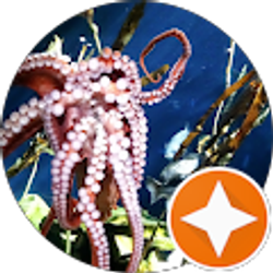 Profile photo of kaya lydamore