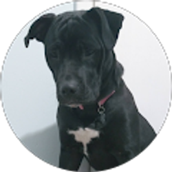 Profile photo of Tonya Lott