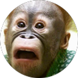 Profile photo of Daniel Oakley