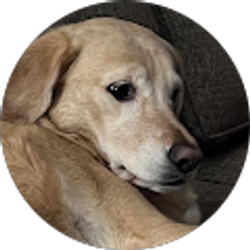 Profile photo of Cynthia Smith