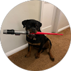 Profile photo of Lizz Costanzo