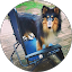 Profile photo of Karen L