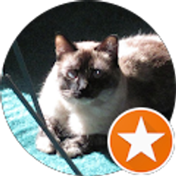 Profile photo of kitty lover