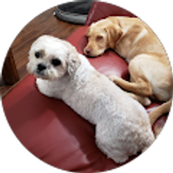 Profile photo of Won Hong Gmail