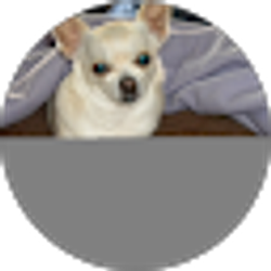 Profile photo of pig199fly200