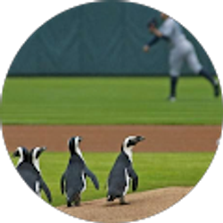 Profile photo of Tom Bentz