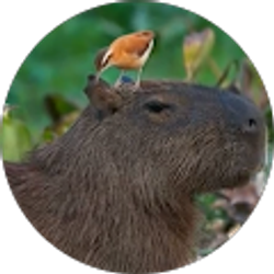 Profile photo of Oscar Romero