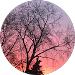 Profile photo of Juliana Zamora