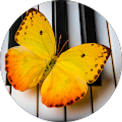 Profile photo of Duval Girl