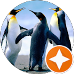 Profile photo of Gabriela Matos