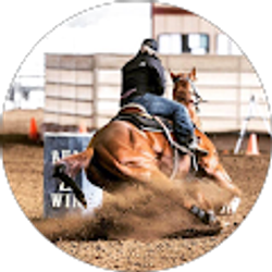 Profile photo of Ashley Truman