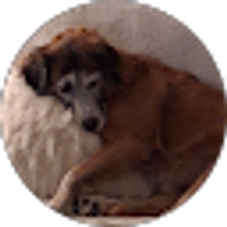 Profile photo of gabriela
