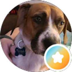 Profile photo of christa Luker