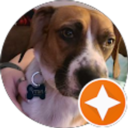 Profile photo of christa Luker