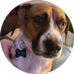 Profile photo of christa Luker