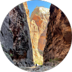 Profile photo of Mike Sturgis