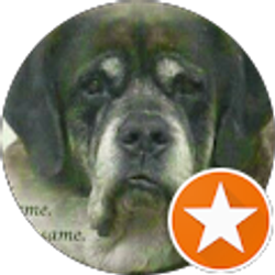 Profile photo of Julie Yesulis